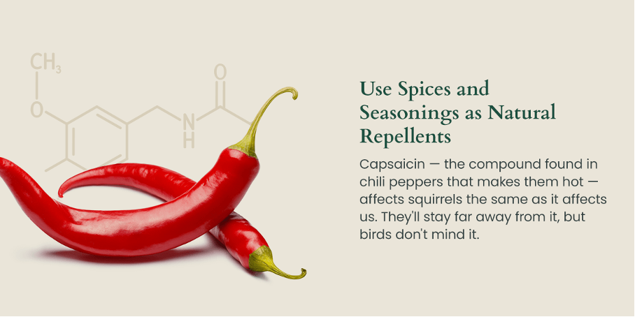 spices.png
