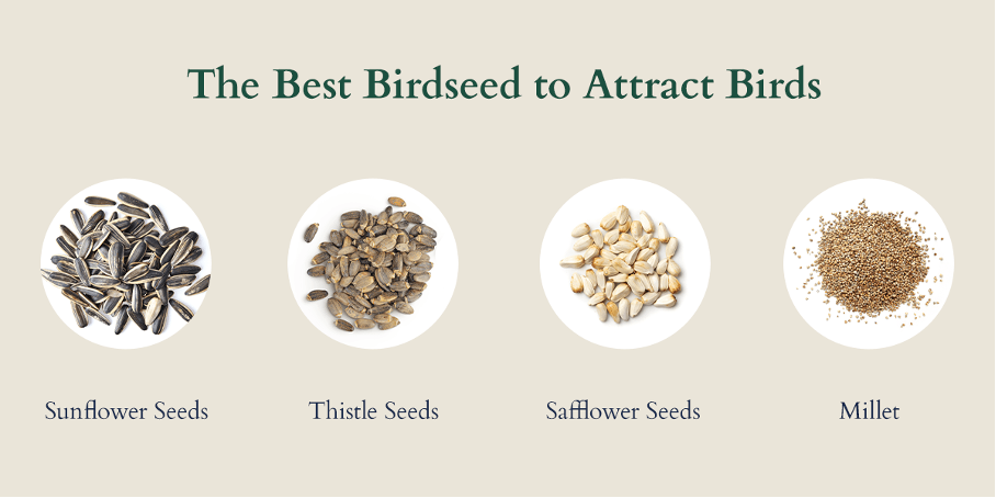seeds.png